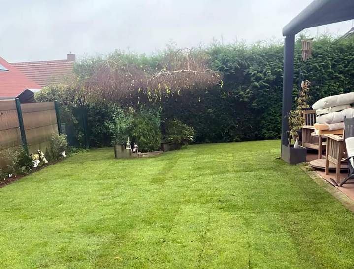 Pour un espace vert verdoyant