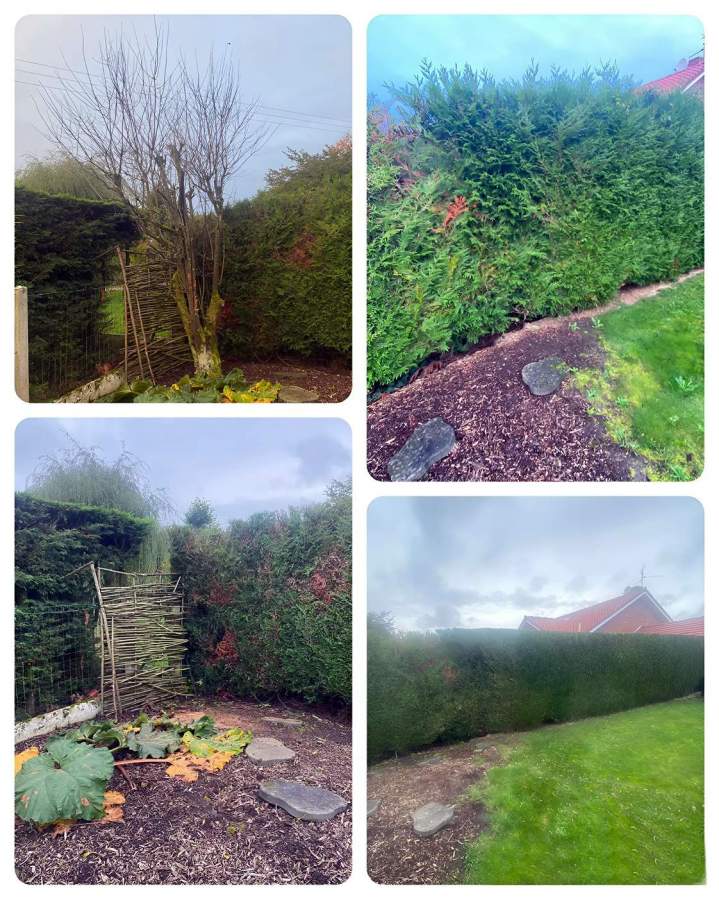 Jardin Joh-Ly débroussaillage Douai