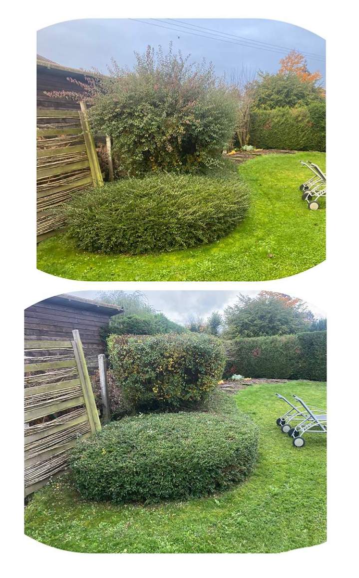 Jardin Joh-Ly contrat entretien d'espace vert Douai
