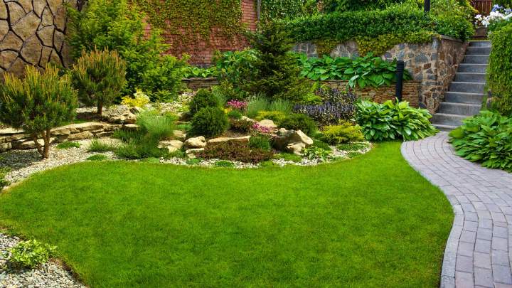 Aménagement du jardin Douai